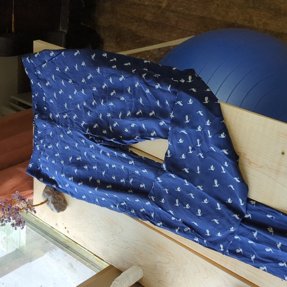 Theory Silk Pants